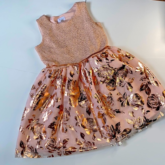 Girls Rose Color Dress